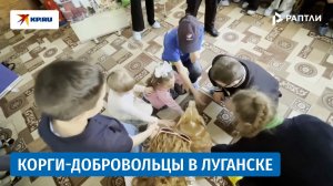 Корги-отряд помогает особенным детям в Луганске