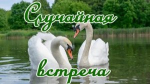 Случайная встреча.