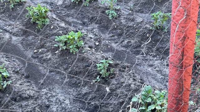 Вечер в деревне! 5.06.2026 смотреть онлайн