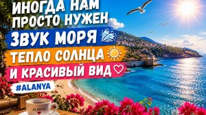 Иногда нам просто нужно звук моря, тепло солнца и красивый вид. 🌊☀️ #alanya