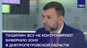Пушилин: ВСУ почти не контролируют буферную зону в Днепропетровской области
