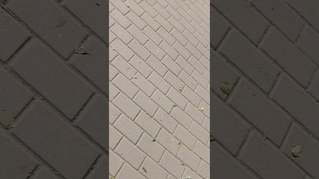 1000033011.mp4 смотреть онлайн