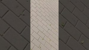 1000033011.mp4