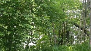 06-06-2026 Прогулка по Любимой Неве❤️❤️❤️