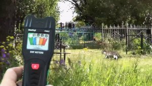 Электромагнитные явления на кладбищах