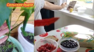 Купили в Фикс прайсе посуду, ну очень красивая... и перец Халапенью