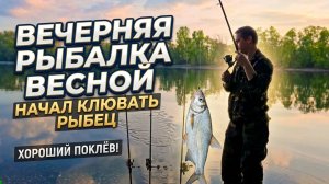 Вечерняя рыбалка весной. Начал клювать рыбец. Хороший поклёв