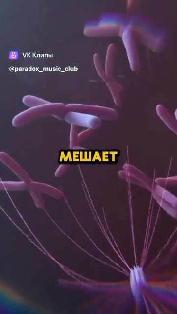А жрать то в меру надо😉