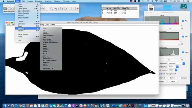 ImageJ Tutorials! 4.4