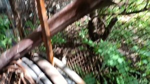 6.06.2026. Как вовремя я вмешалась.