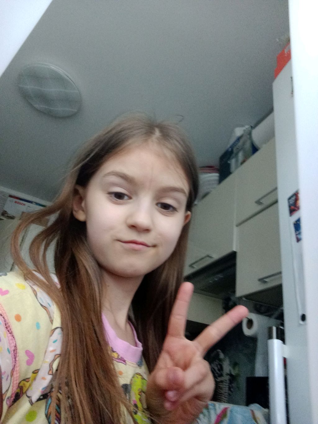 это я показываю весь дом свой. смотреть онлайн