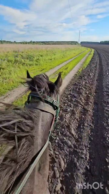 Все добавляйтесь вк,в группу последнее видео николай 46
