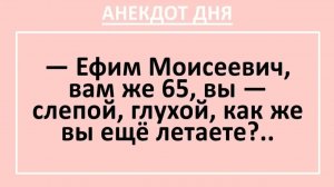 Ефим Моисеевич, вам же 65, вы слепой, глухой, как же вы ещё летаете?.... | Анекдоты смешные | Юмор