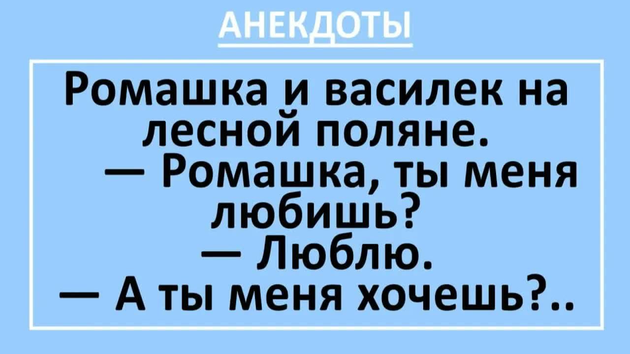 Ромашка и василек на лесной поляне. Ромашка, ты меня любишь? Люблю... | Анекдоты смешные | Юмор смотреть онлайн