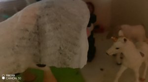 Вызов принят