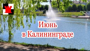 По центру Калининграда: от Шевченко до Нижнего озера