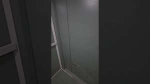 44412.mp4