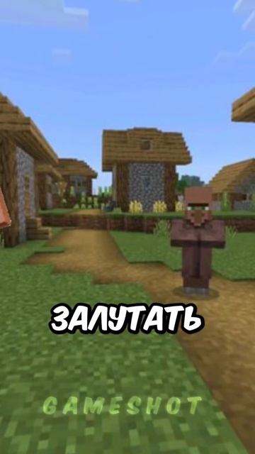Перезаливы тик_ток .
