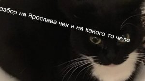 Разбор на Ярослава чека и на какого то чела