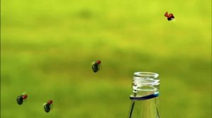 Миниатюрные стрекозы 🍃 60-секундная подборка