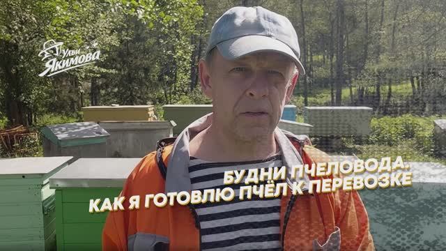 Как я готовлю пчёл к осмотру и перевозке смотреть онлайн