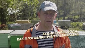 Как я готовлю пчёл к осмотру и перевозке