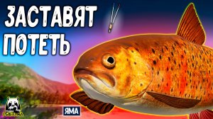 Эти рыбки в РР4 заставят вас знатно ПОПОТЕТЬ #рр4