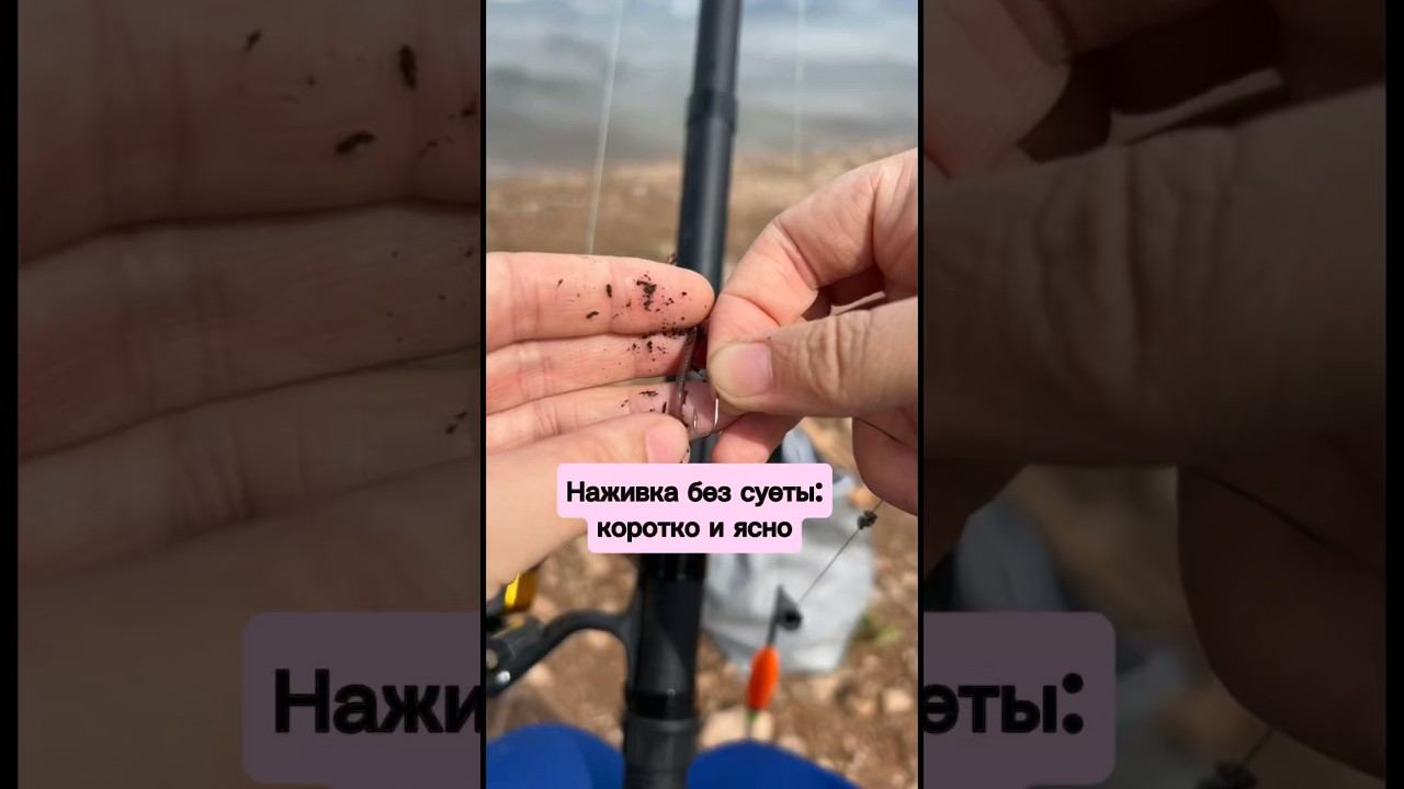 Наживка без суеты: коротко и ясно #рыбалка