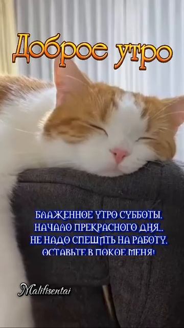 оеей сегодня выходной ❤