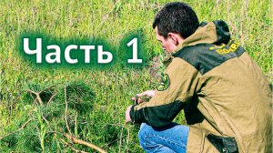 Схема захвата земли через несуществующее юрлицо