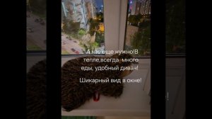 маленькие трагедии