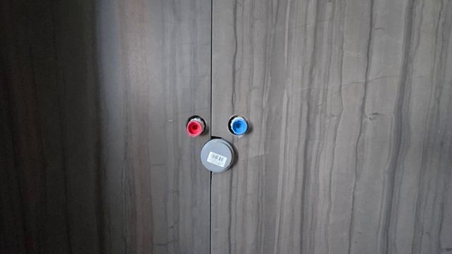 Дупло для белки