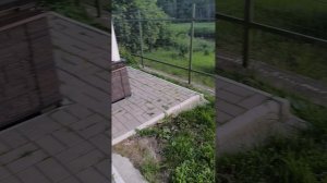 1000009153.mp4