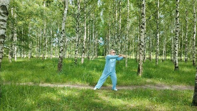 Упражнения с ротанговыми кольцами Вин Чун (30)
