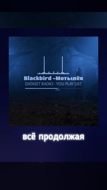 DATASET RADIO - YOU PLAY LIST Blackpool - Мотылек