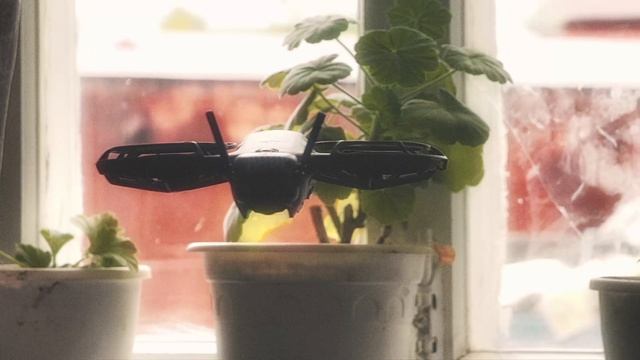 ТЫ FPV Дрон - но ты в РОССИИ #FPV #Россия #DJINEO2 #DJI #VIVOX200Pro смотреть онлайн