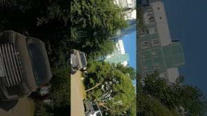 VID_20260606_073943