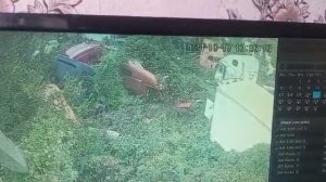 Поймали у нас на базе воров,муж и жена и ребенка взяли с собой. наглость зашкаливает...