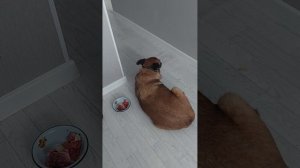 Сходили к доктору