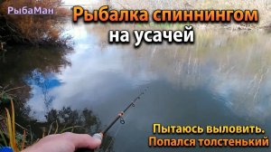 Рыбалка спиннингом на усачей. Пытаюсь выловить. Попался толстенький