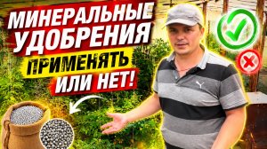 Минеральное питание для томатов- во благо или во вред