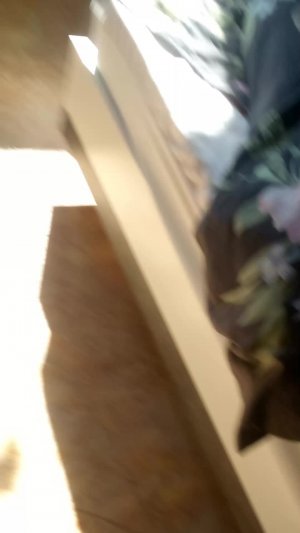 поездка на дачу ч 2