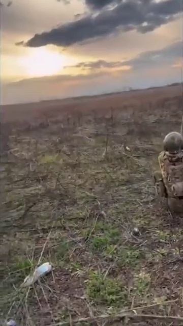Вот она родимая. смотреть онлайн