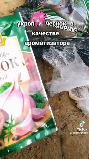 06-06-2026 смотреть онлайн