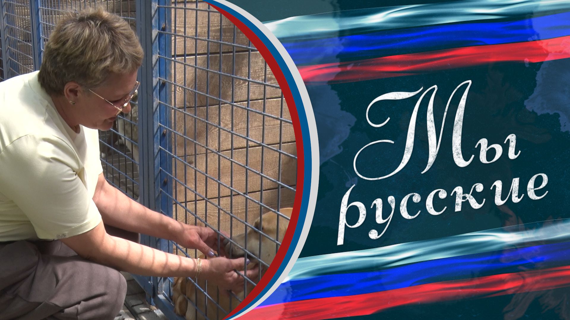 🐕«Люди уезжали и оставляли собак на привязи. Я под обстрелами пробиралась к ним, чтобы спасти» смотреть онлайн