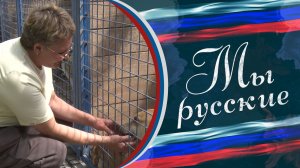 🐕«Люди уезжали и оставляли собак на привязи. Я под обстрелами пробиралась к ним, чтобы спасти»