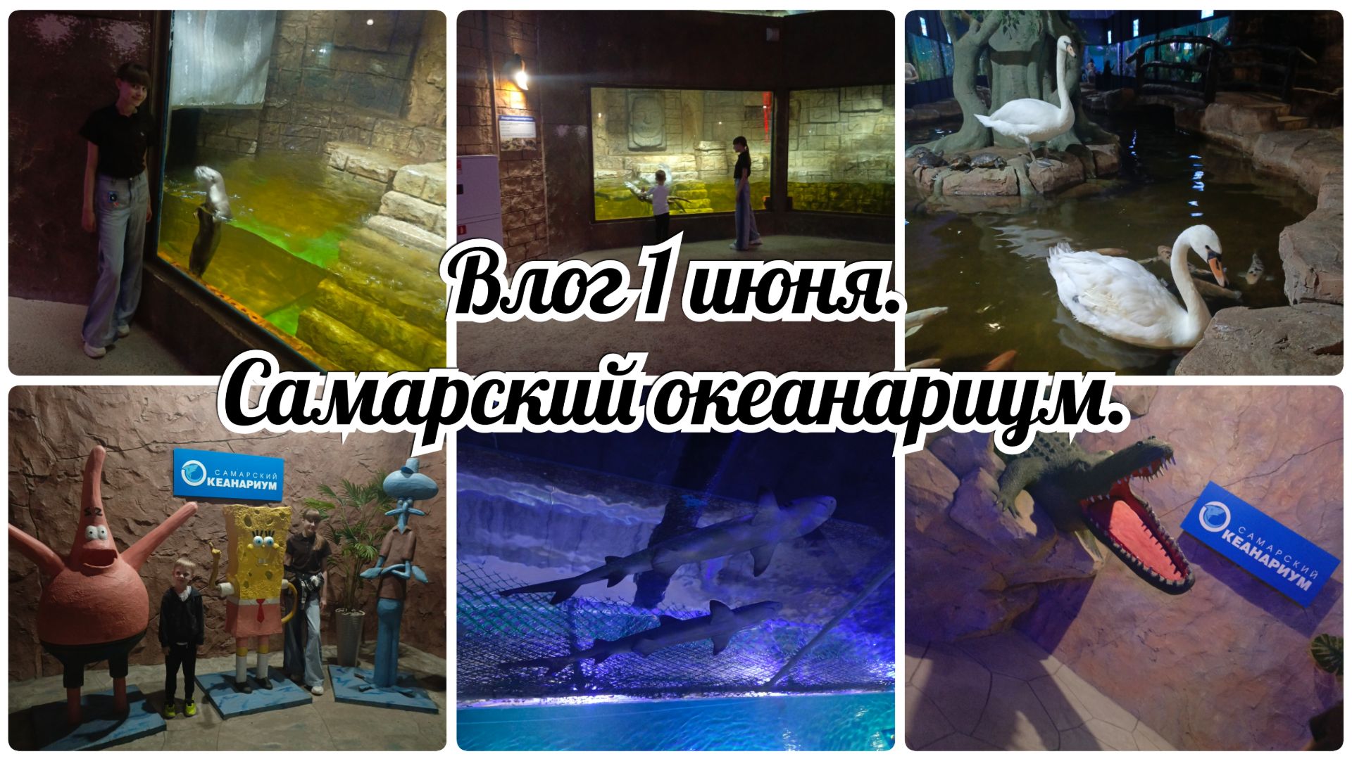 Влог 1 июня. Самарский океанариум. смотреть онлайн