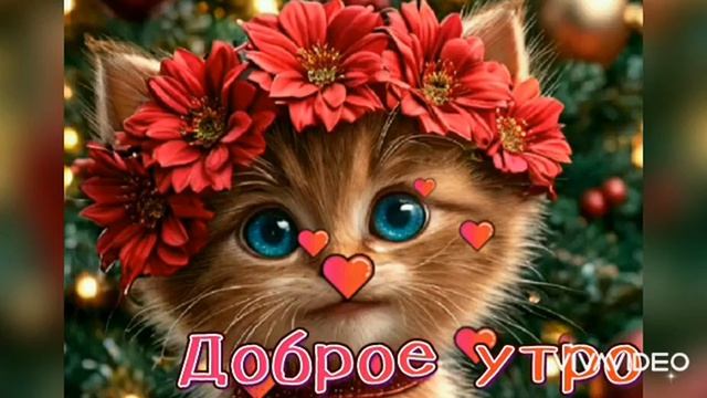 ДОБРОГО УТРА. ОТЛИЧНОГО ВЫХОДНОГО ДНЯ смотреть онлайн