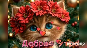 ДОБРОГО УТРА.  ОТЛИЧНОГО ВЫХОДНОГО ДНЯ