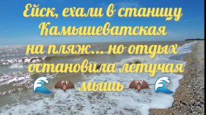 Ейск - Камышеватская